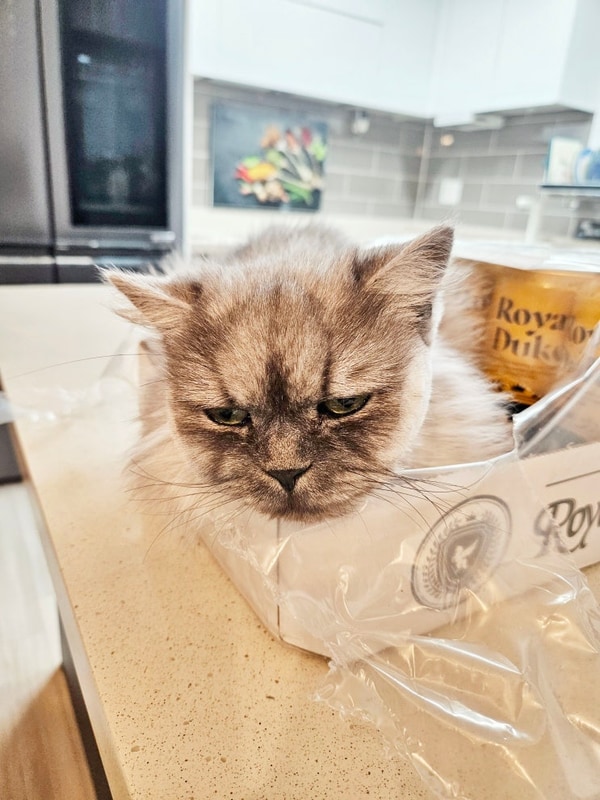 겨울캠핑,중랑가족캠핑장,도심캠핑장