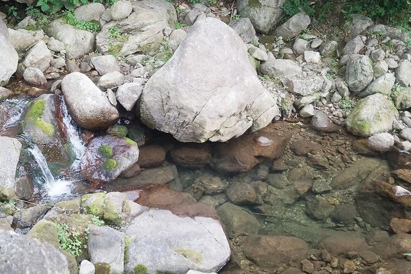 진틀펜션캠핑장 시설 사진 2