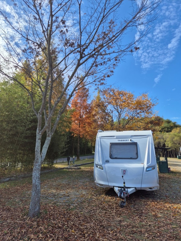 가을의 끝자락 - 담양 금성산성 오토캠핑장(25.11.7~11.11)