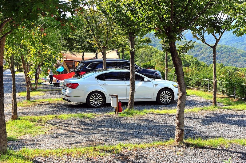 파인힐빌리지 캠핑장 시설 사진 10