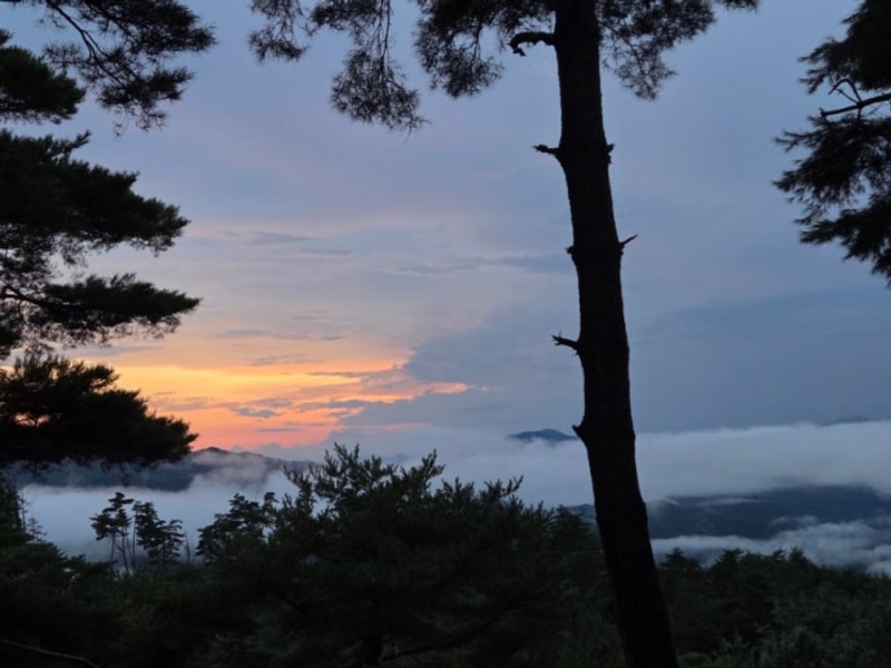 영월 구름품은 캠핑장