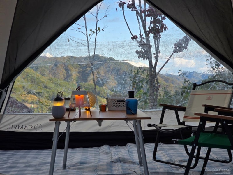 [반려견 동반 캠핑] 횡성 월강캠프_깨끗하고 프라이빗한 뷰...