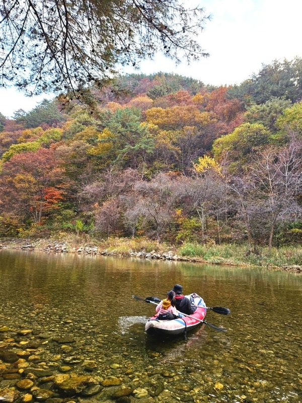 온 가족이 만족한 키즈캠핑장, 영월느티나무캠핑장(카약과...