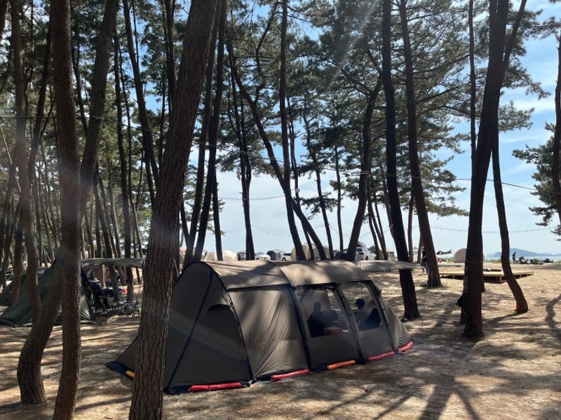 태안 노을숲캠핑장