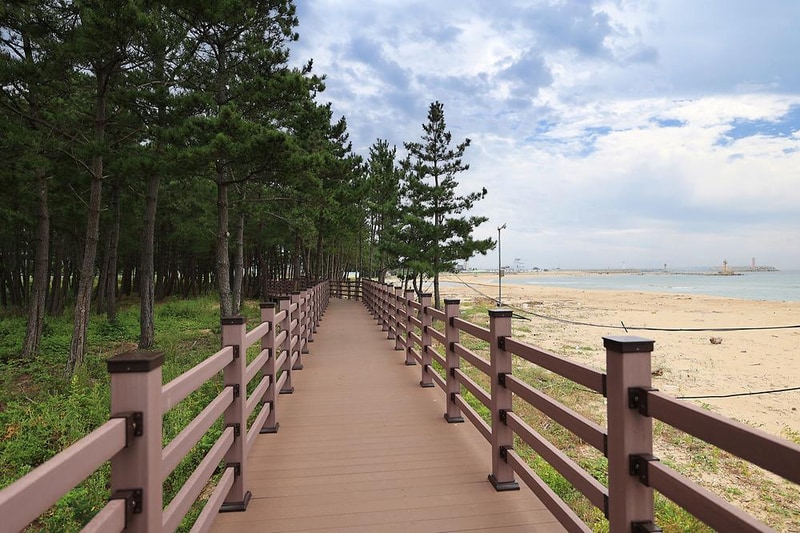 아라캠프 시설 사진 4