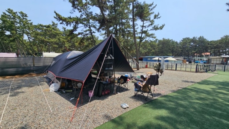 몽산포 감성 캠핑장 (애견동반 캠핑,애견 울타리캠핑 오프리쉬...