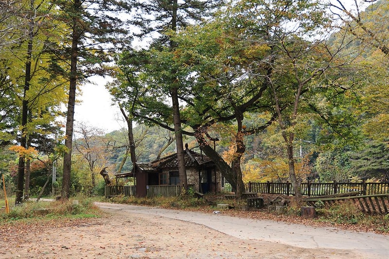 일영Star캠핑장 시설 사진 11