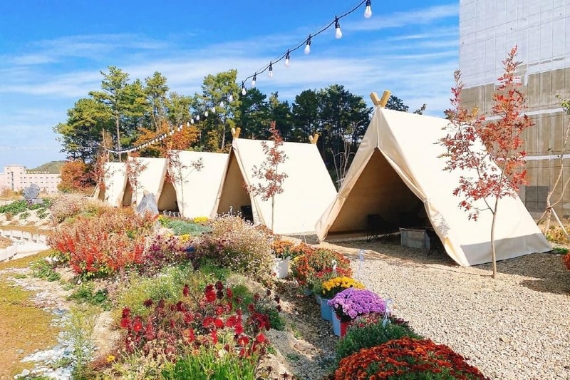 소풍 시설 사진 12