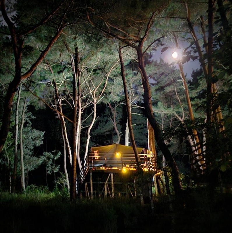 태안 올레유캠핑장