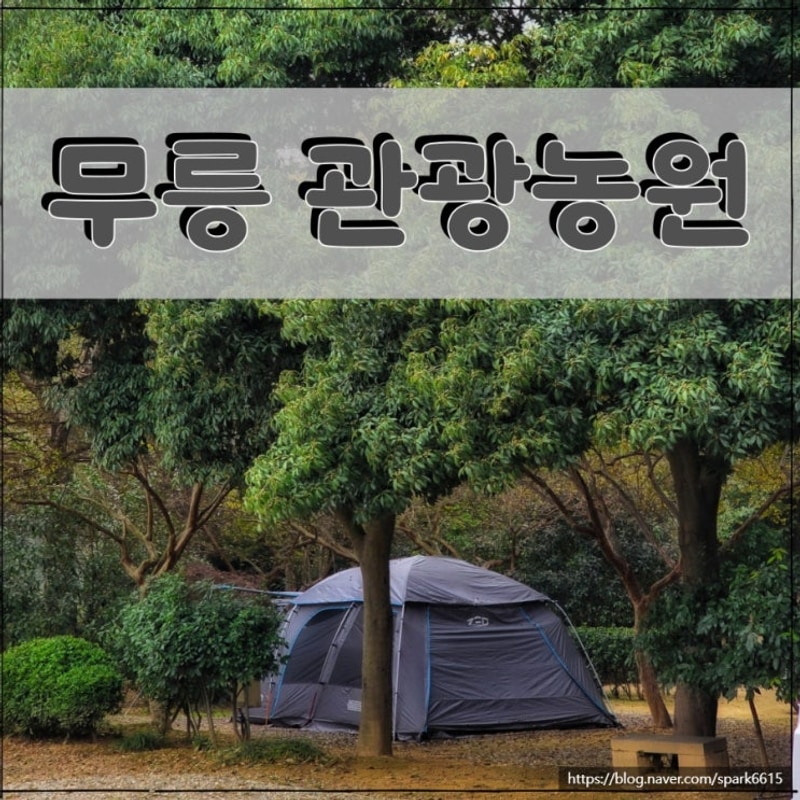 경주 무릉 관광농원 캠핑장 A6 2박 후기 및 다른 사이트 정보