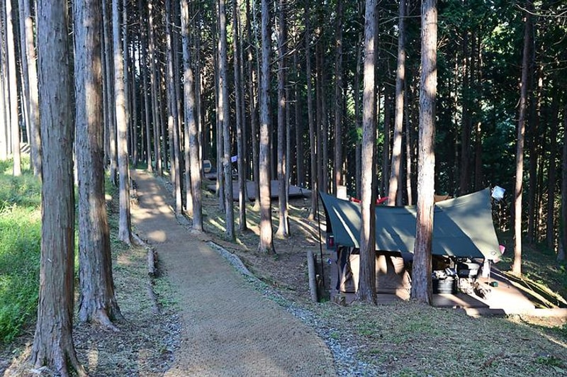 사천 케이블카 자연휴양림 대표 사진