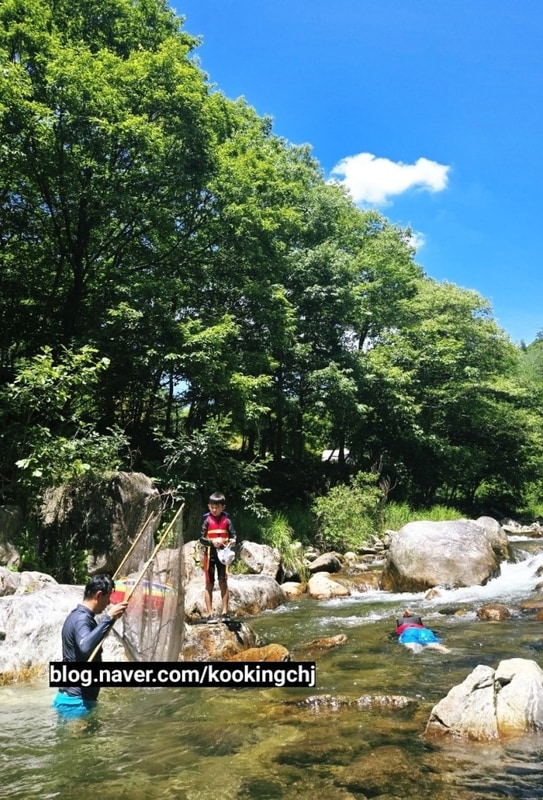 이 시리도록 시원한 제천 덕동계곡 오토캠핑장