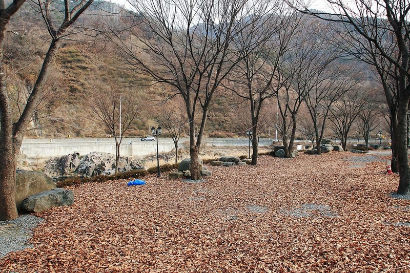 엘림펜션 오토캠핑장 시설 사진 1