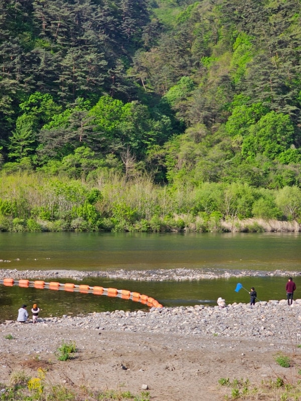 [캠핑일기] 영월 외룡캠핑장(2025. 5. 4. ~ 5. 6.)