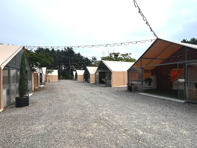 여름방학 아이와 함께한 태안 "가든글램핑캠핑장" 체험기