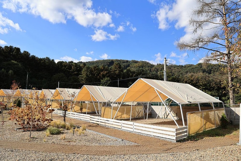 나아정 시설 사진 13