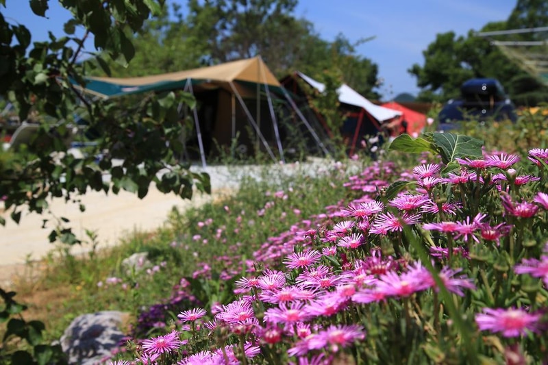 햇솔오토캠핑장 시설 사진 23