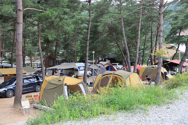 용오름캠핑장 시설 사진 5