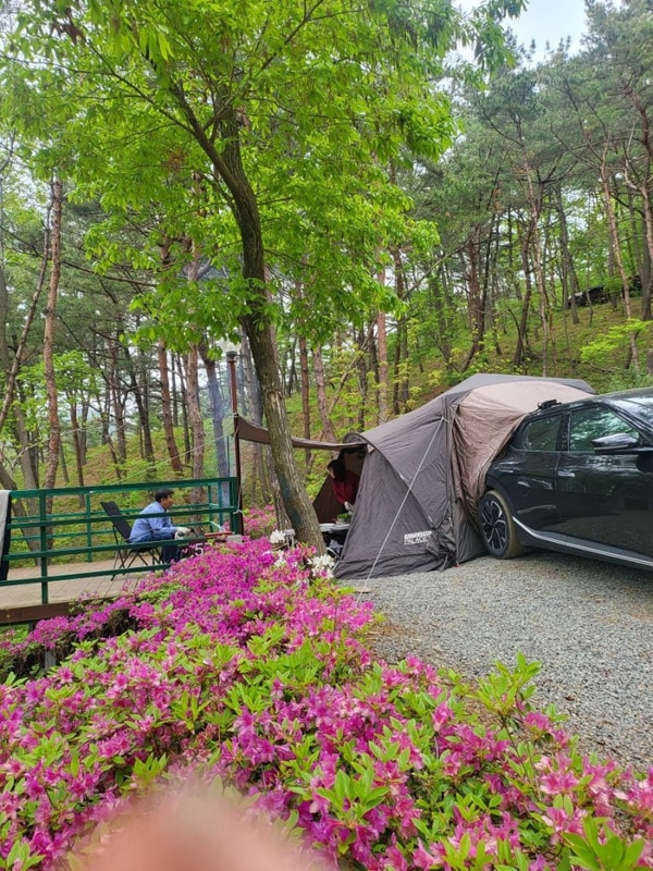 태안 신두리 글램핑 "올레유“ 캠핑 다녀왔어요~