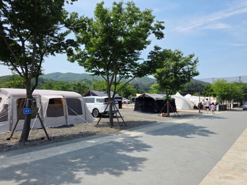 경주 봄날처럼 캠핑장 아이랑 3번 재방문 후기 킥보드 필수