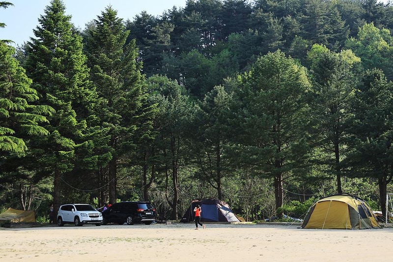 보광농촌체험휴양마을 시설 사진 13