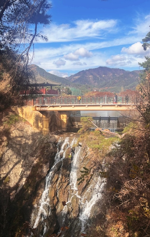 11월 제천 드래곤 오토캠핑장 후기 의림지 용추폭포