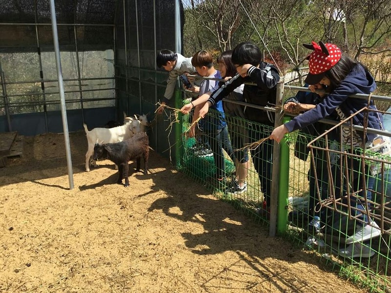 숲속의베리팜 시설 사진 23