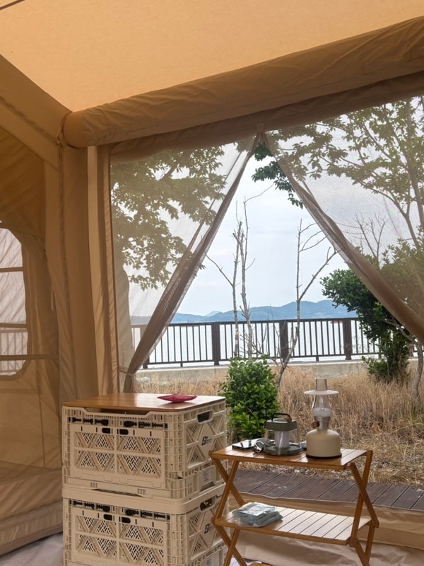 2025 초여름 캠핑, 보성 디노글램핑 오토캠핑장 11번, 10번...