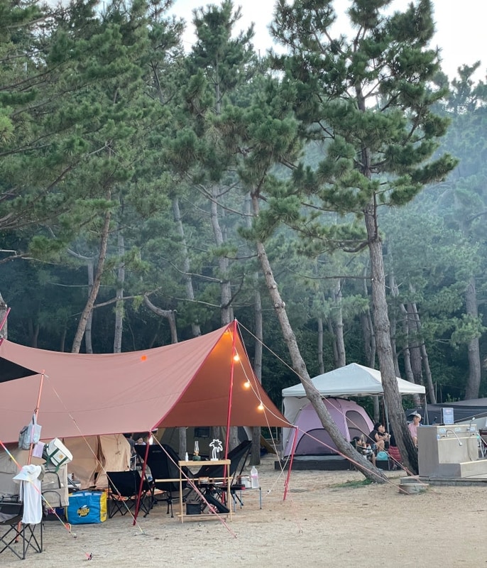 12th 캠핑, 삼척 장호비치캠핑장