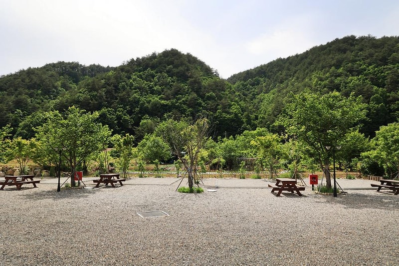 양양 별밤캠핑장 시설 사진 13