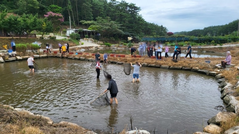 물고기 잡기부터 냉국까지 태안캠핑장 올레유에서 가족과...