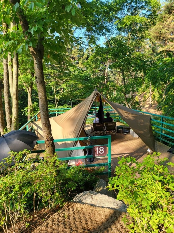 태안캠핑장 올레유️ 캠핑러버 부부의 숲속 힐링캠프 후기