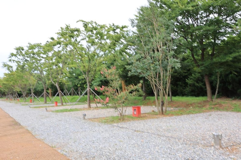 베르아델 승마클럽 시설 사진 15