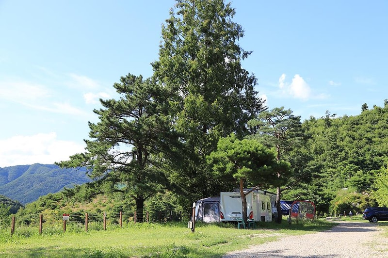 숲속의야영장 시설 사진 1