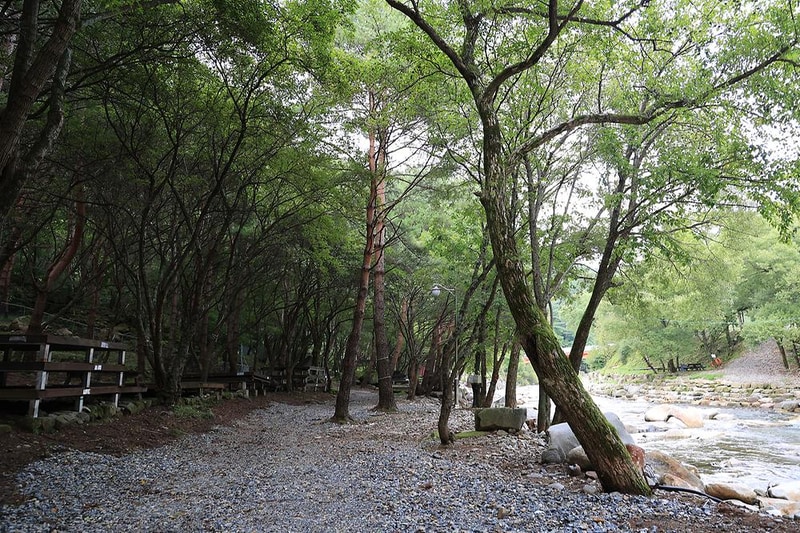 상동 장산 야영장 시설 사진 13