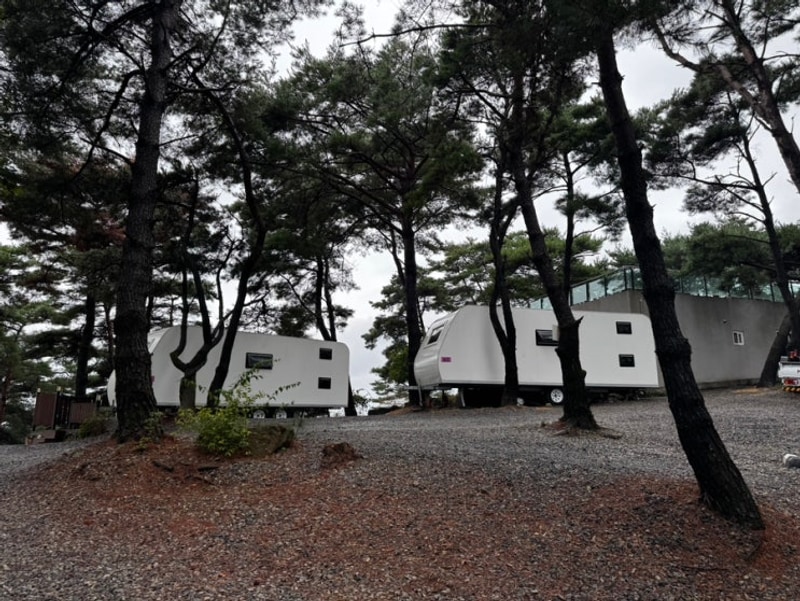 밀양 삼랑진 좋은 카라반 펜션 B3,B4 후기❤️밀양 수영장 펜션