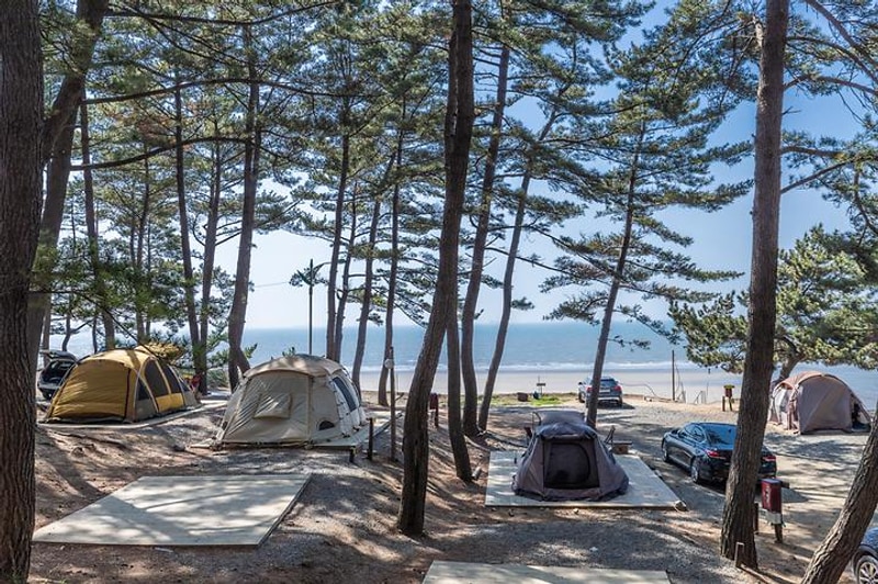 사목힐링캠프 태안캠핑농원 대표 사진