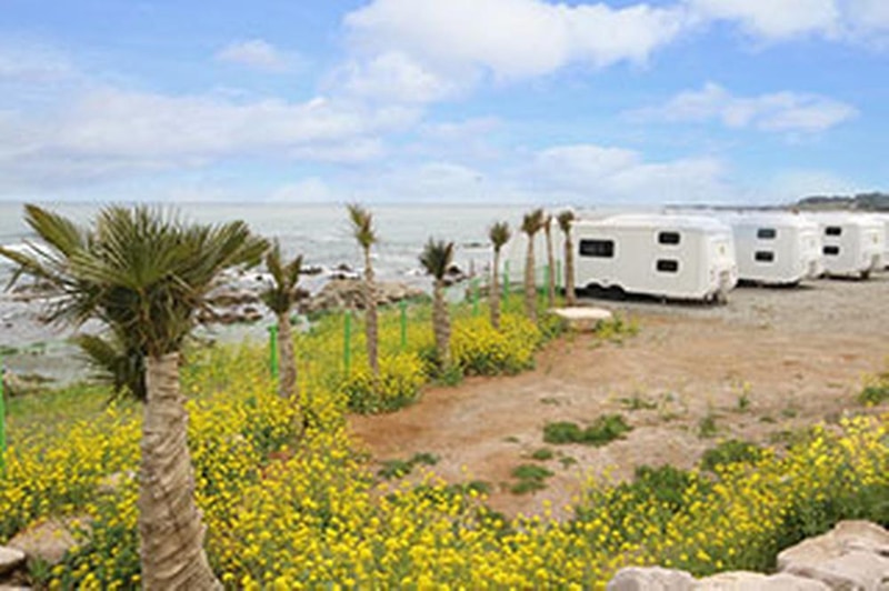 유니의바다 카라반캠핑장 시설 사진 3