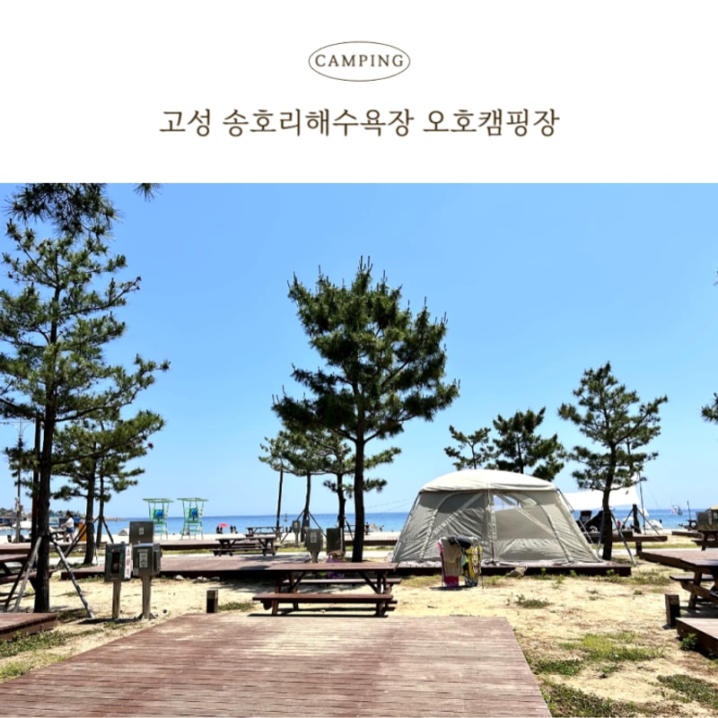 바다 앞 캠핑, 고성 송지호해수욕장 오호캠핑장 답사 후기