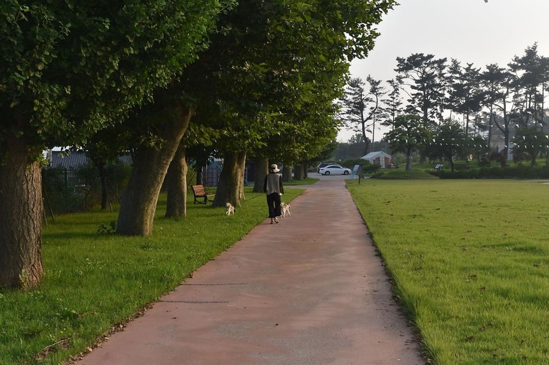 폰타나리조트 시설 사진 1