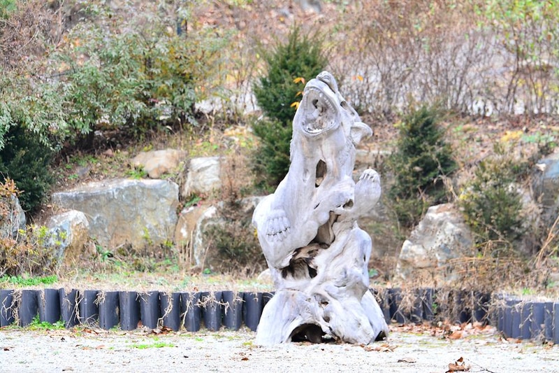 다누리골테마파크 시설 사진 6