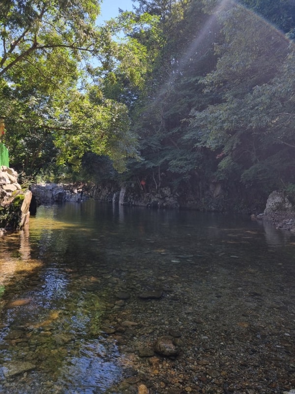 [2025.09.06~07]영동 별밤펜션캠핑장_계곡캠핑 우중캠핑