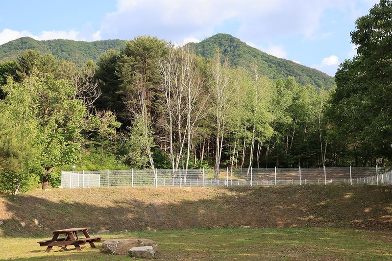 초록빛마을 관광농원 야영장 시설 사진 12