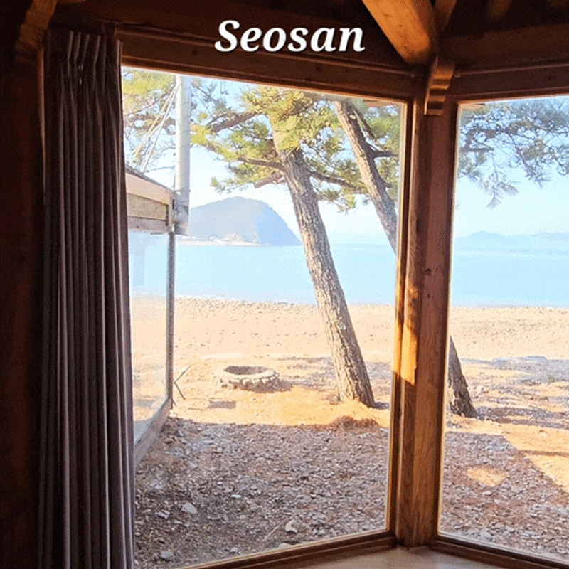 충남 서산 벌천포캠핑장 근처 맛집 선창감태칼국수(감태전 추천)