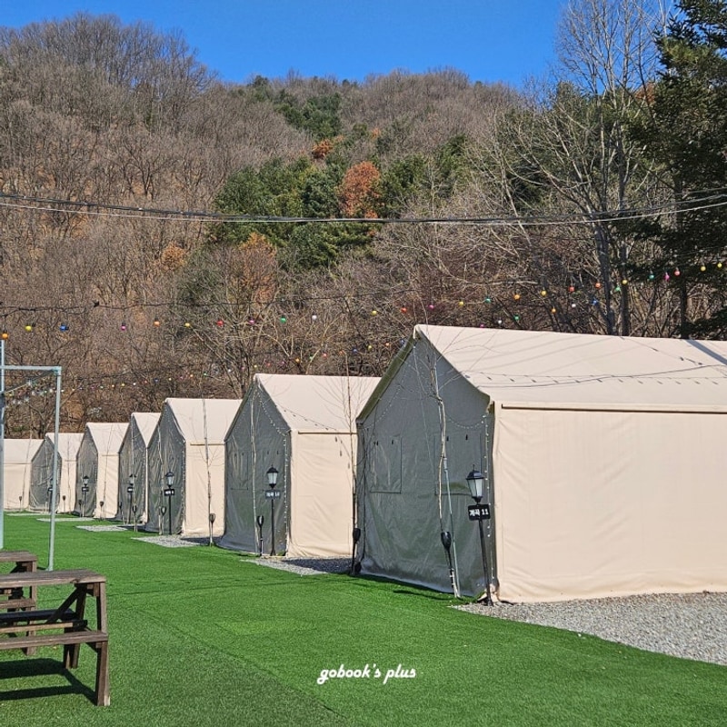 가평 글램핑 | 핀란드 캠핑성 | 온수풀과 사우나가 있는 가성비...