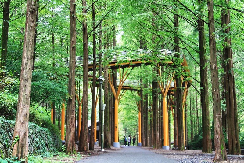 장태산 자연휴양림 시설 사진 2