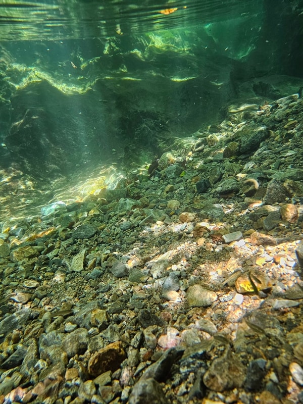 250727 캠핑일지 : 홍천 ‘그린필로우’ (비빌언덕 2번 사이트)