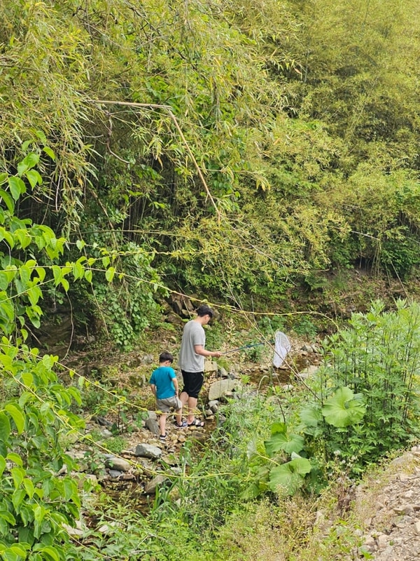 [25/6/7-8] 장흥 달빛계곡 캠핑장
