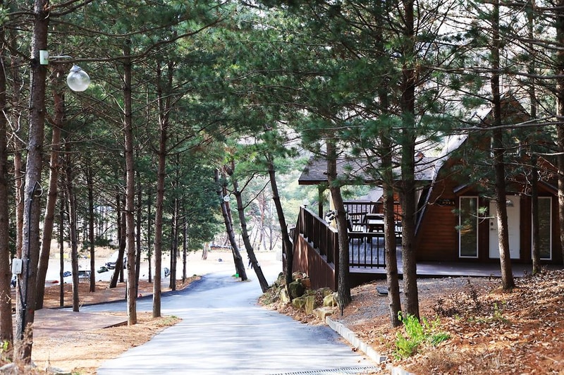 힐링스토리 시설 사진 13