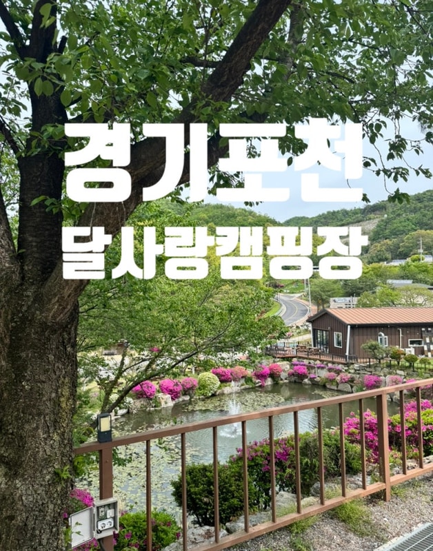 [캠핑#12] 서울근교 포천 달사랑캠핑장 A9 애견동반 우중캠핑...